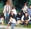 Actualité portail de chien-chiot-éducateur canin comportementaliste 83 par dressemonchien